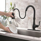 Multifunctional Kitchen Faucet with Pull Down Sprayer Single Handle Matte Black