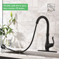 Toolkiss Kitchen Faucet - Giveaway B