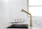 Utility Sink Faucets Single-Handle Pull-Out Laundry Faucet with Dual Spray Function in Stainless Spot Resistant  Gold