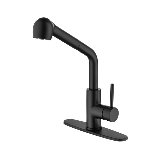 Matte Black Kitchen Faucets with Pull Down Sprayer, Single Handle Kitchen Sink Faucet with Pull Out Sprayer