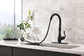 Toolkiss Kitchen Faucet - Giveaway B