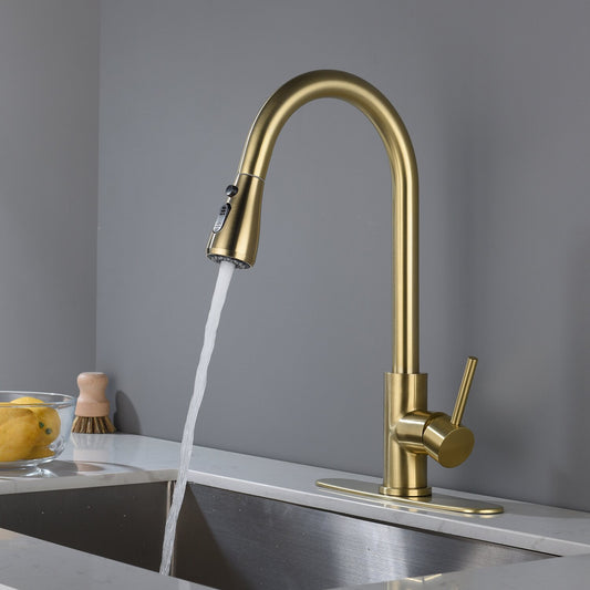 Pull Out Single Handle Kitchen Faucet