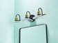 24-in W x 36-in H Matte Black Alumi Bathroom Mirror with Vanity Light